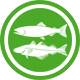 Croquettes chiens -26% minimum de saumon et de truite fraîchement préparés